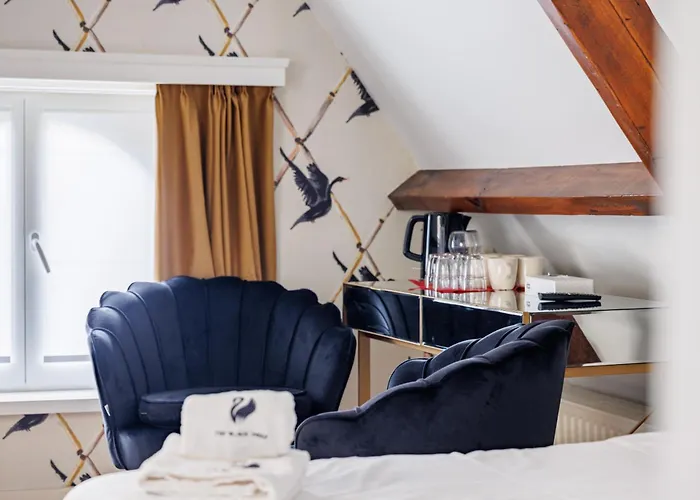 The Black Swan Hotel