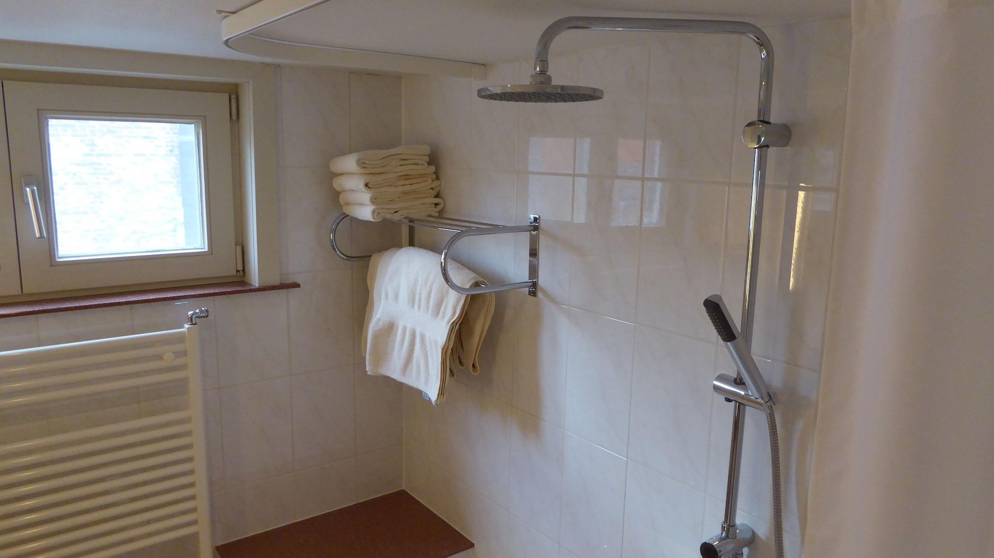 The Black Swan Hotel 3*