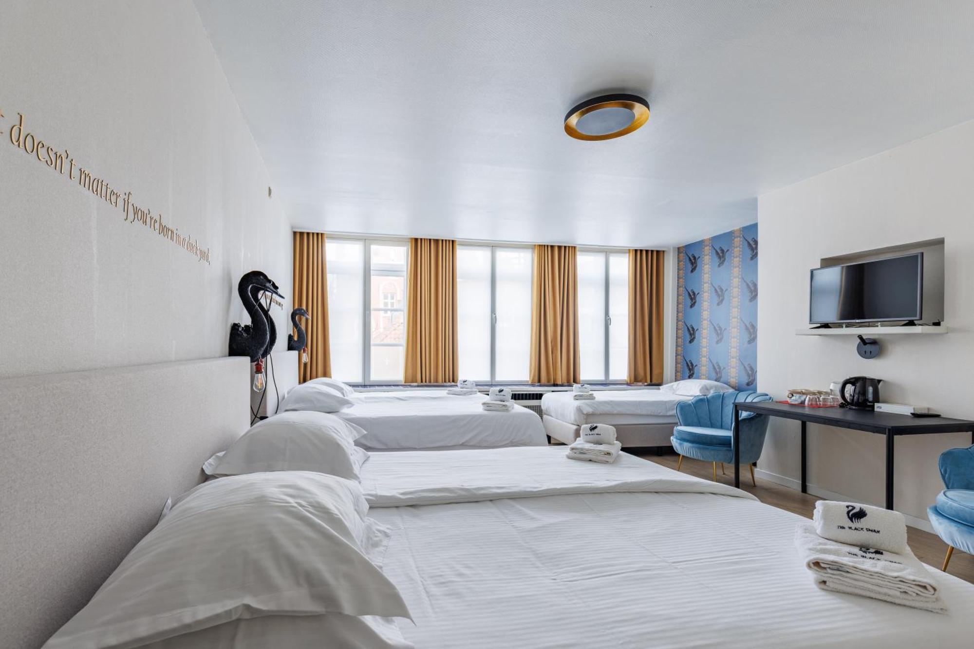 The Black Swan Hotel 3*